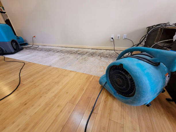 Professional Flood Damage Cleanup technician working in Truckee, CA